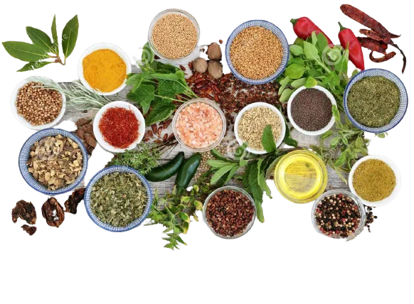 spice-herb-seasoning-fresh-dried-herbs-spices-including-chili-pepper-selection-mustard-powder-seeds-ground-whole-103156690-removebg-preview (1)