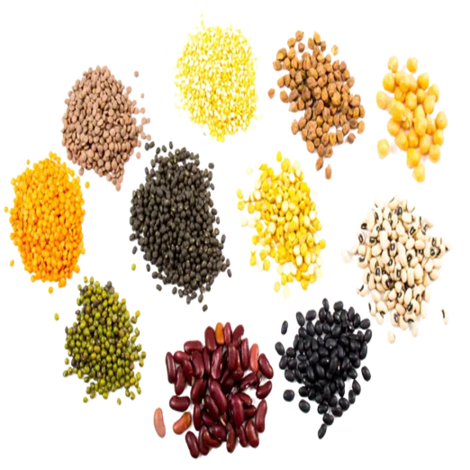 Lentils-and-Pulses-removebg-preview (1)